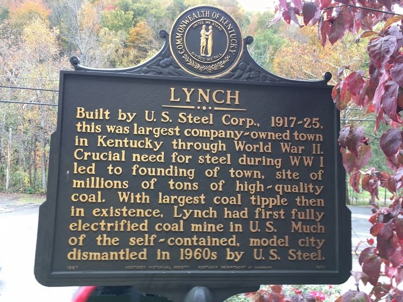 Lynch Marker image. Click for full size.