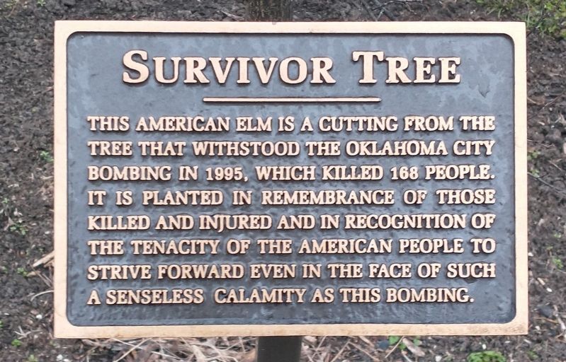 Survivor Tree Marker image. Click for full size.