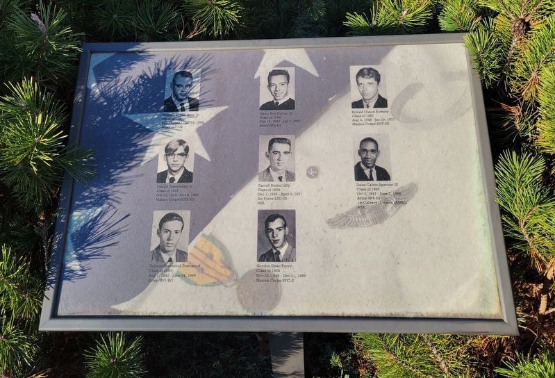 Vietnam Veterans Memorial image. Click for full size.