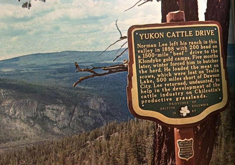 Yukon Cattle Drive Marker image. Click for full size.