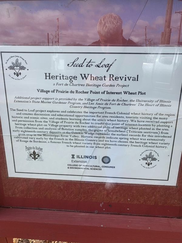 Heritage Wheat Revival Marker image. Click for full size.