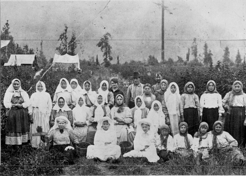 Group of Doukhobor women image. Click for full size.