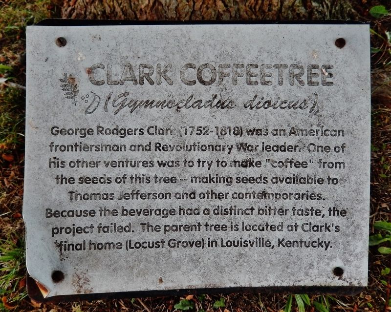 Clark Coffeetree Marker image. Click for full size.