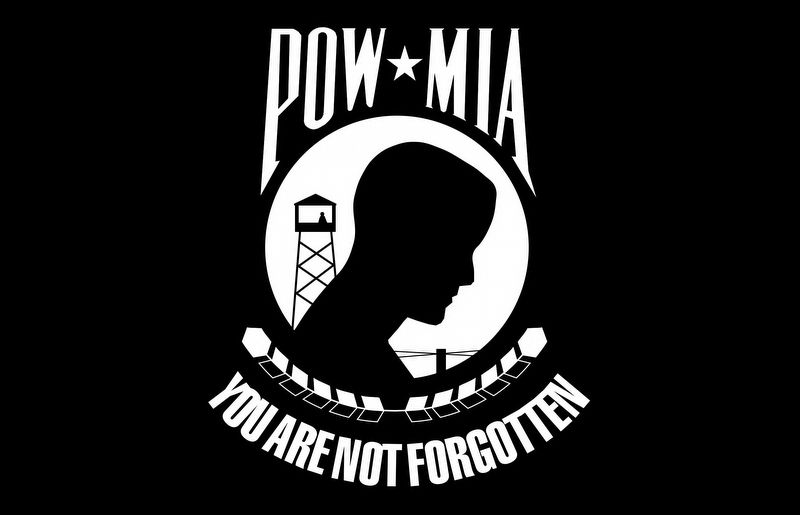 POW - MIA National Flag. Click for full size. POW - MIA National Flag image. Click for full size.
