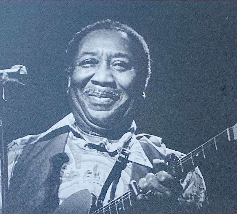Marker inset: Muddy Waters image. Click for full size.