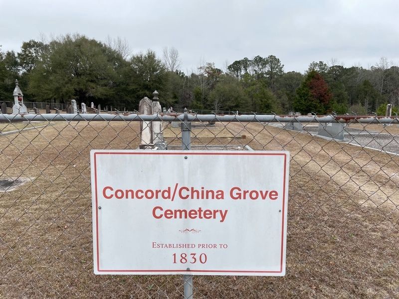 Concord Cemetery (aka China Grove Cemetery) image. Click for full size.