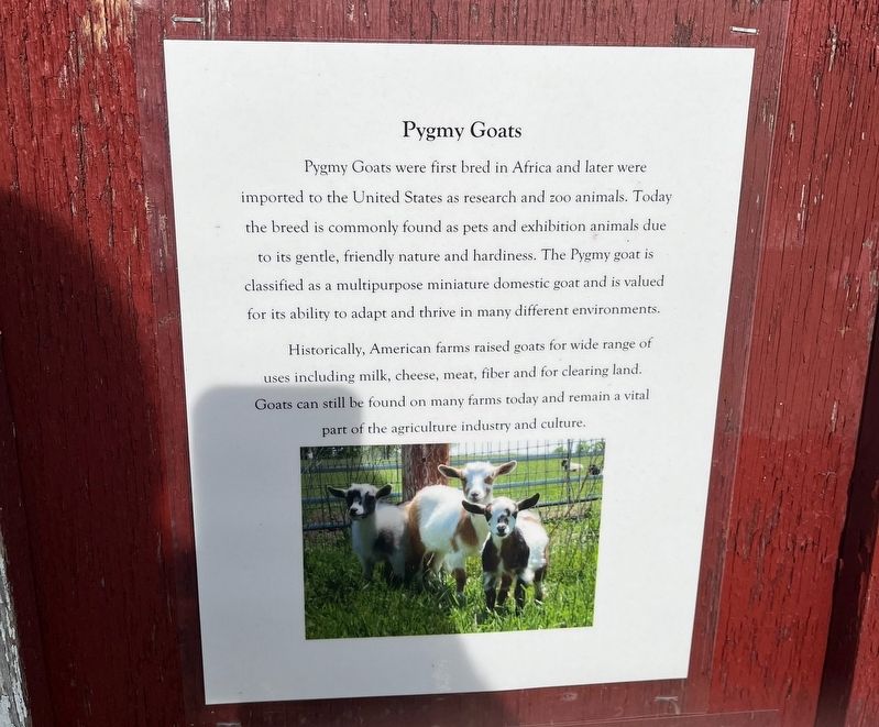 Pygmy Goats Marker image. Click for full size.