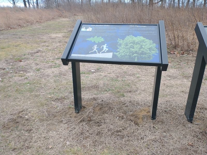 The Gerber Oaks Marker image. Click for full size.