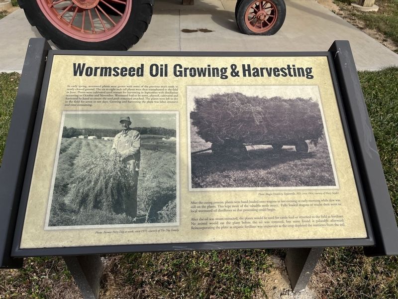 Wormseed Oil Growing & Harvesting Marker image. Click for full size.