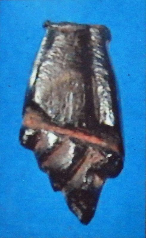 Marker detail: Hand-shaped Higa. Click for full size. Marker detail: Hand-shaped Higa image. Click for full size.
