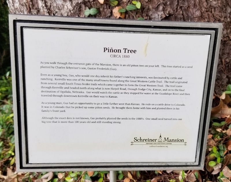 Piñon Tree Marker image. Click for full size.