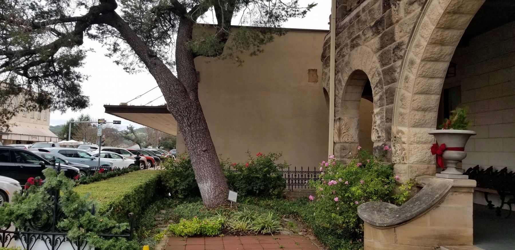 Piñon Tree and Mansion. Click for full size. Piñon Tree and Mansion image. Click for full size.