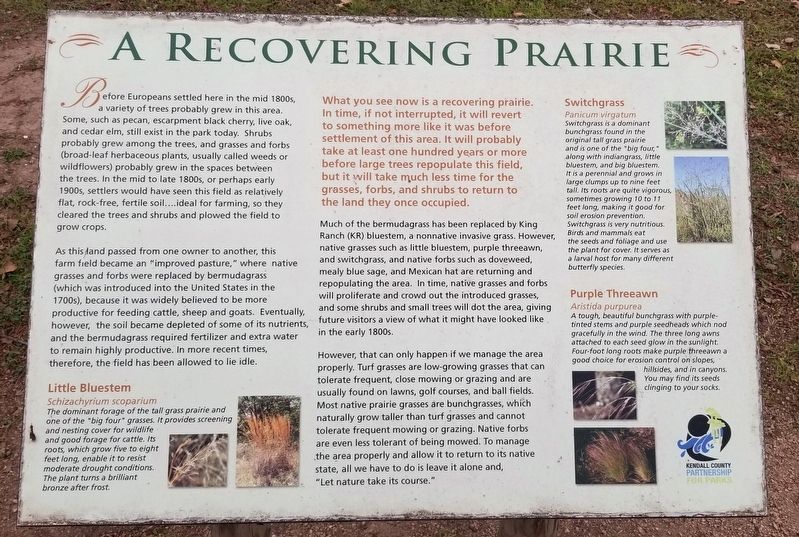 A Recovering Prairie Marker. Click for full size. A Recovering Prairie Marker image. Click for full size.