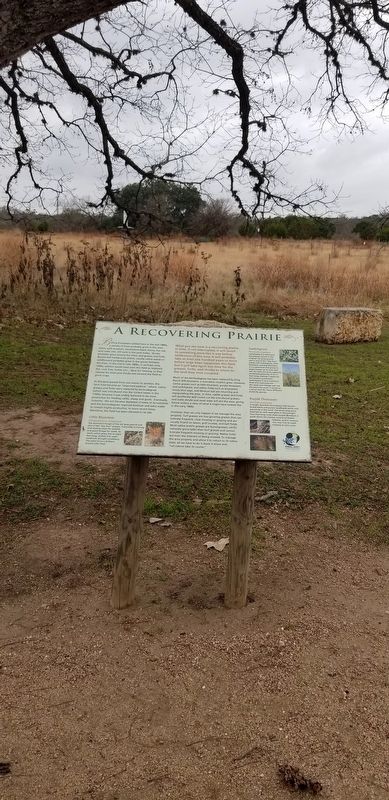 The Recovering Prairie and Marker image. Click for full size.