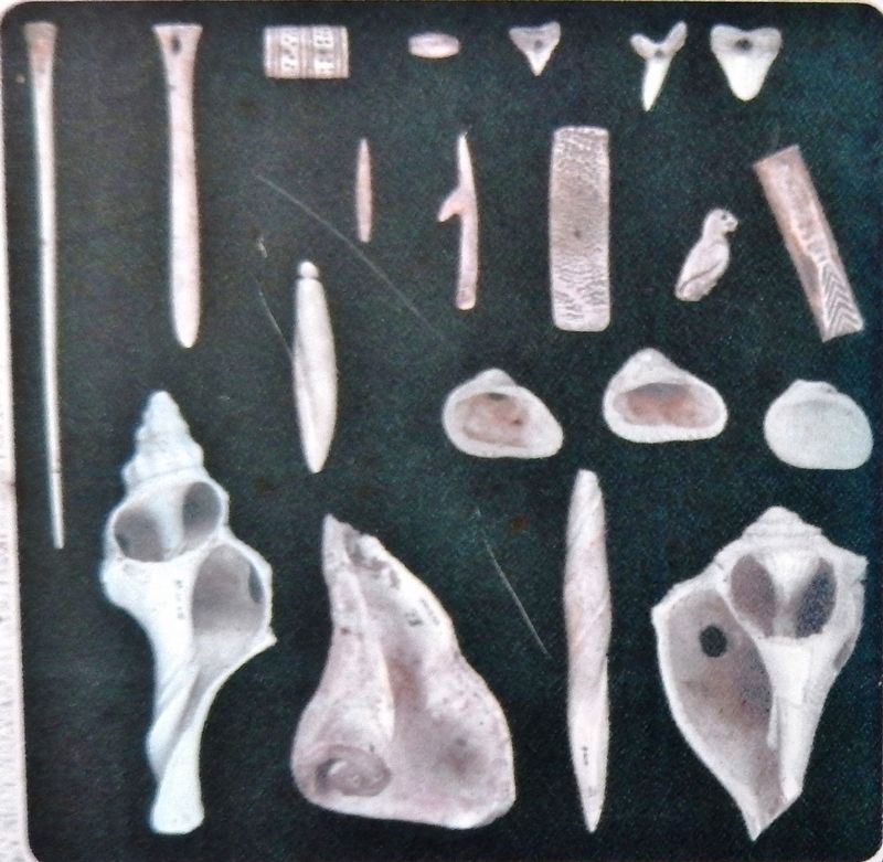 Marker detail: Calusa Indian Artifacts image. Click for full size.