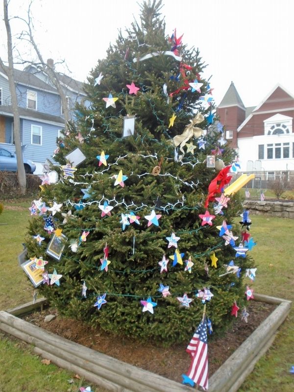 The Edwardsville Warrior Tree image. Click for full size.