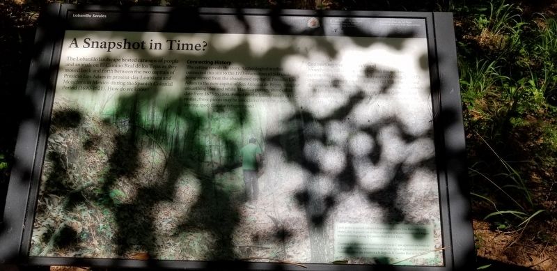 A Snapshot In Time?/�Una instant�nea en el tiempo? Marker image. Click for full size.