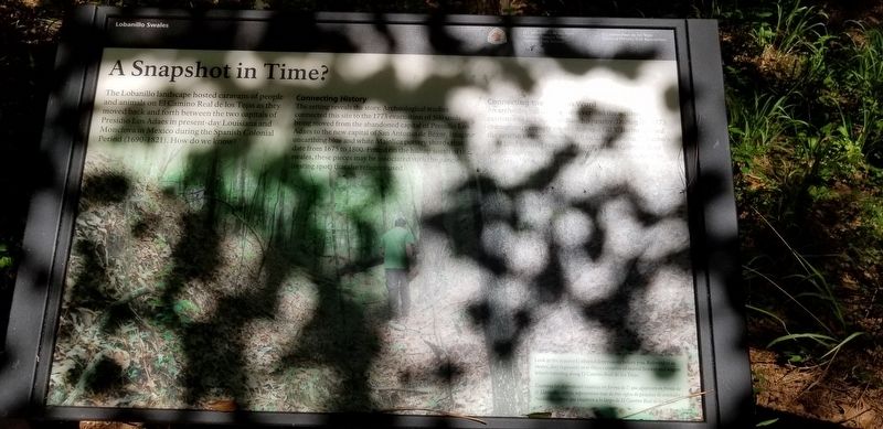 A Snapshot In Time?/Una instantnea en el tiempo? Marker image. Click for full size.