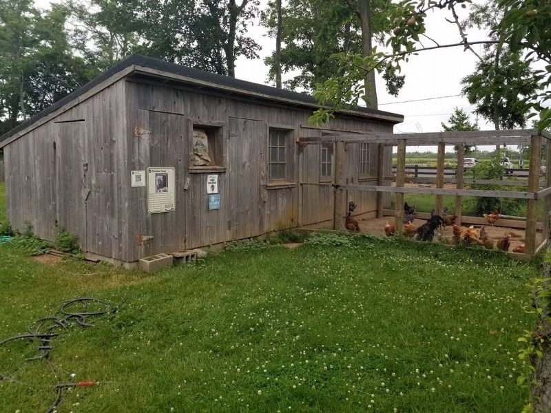 Chicken Coop image. Click for full size.