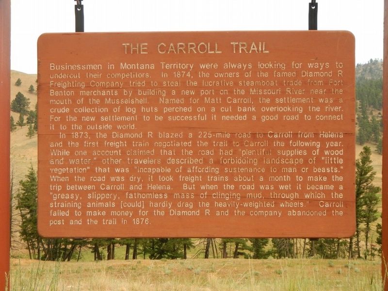 The Carroll Trail Marker image. Click for full size.