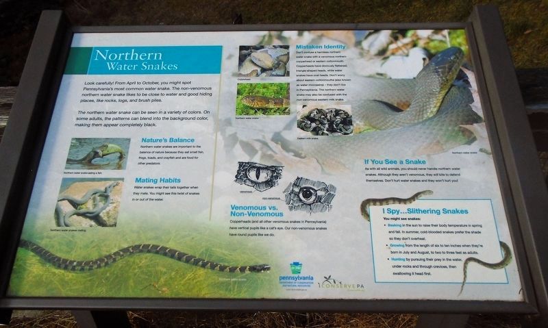 Northern Water Snakes Marker image. Click for full size.