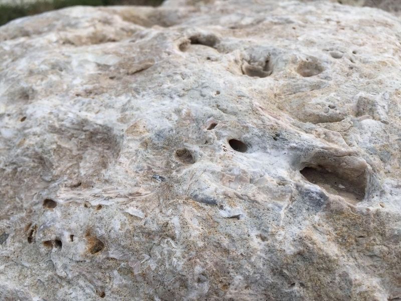 The Sandstone image. Click for full size.
