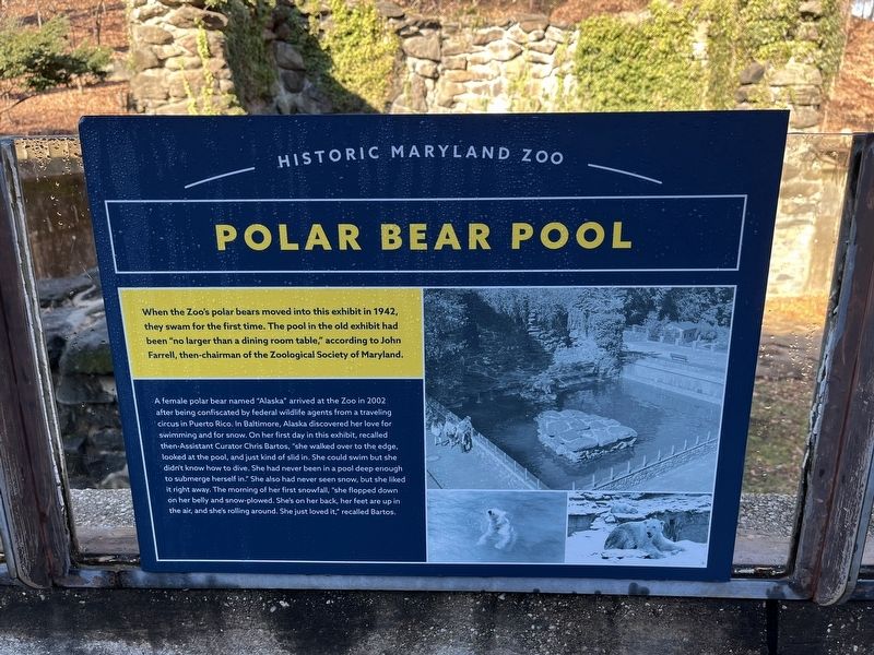 Polar Bear Zoo Marker image. Click for full size.