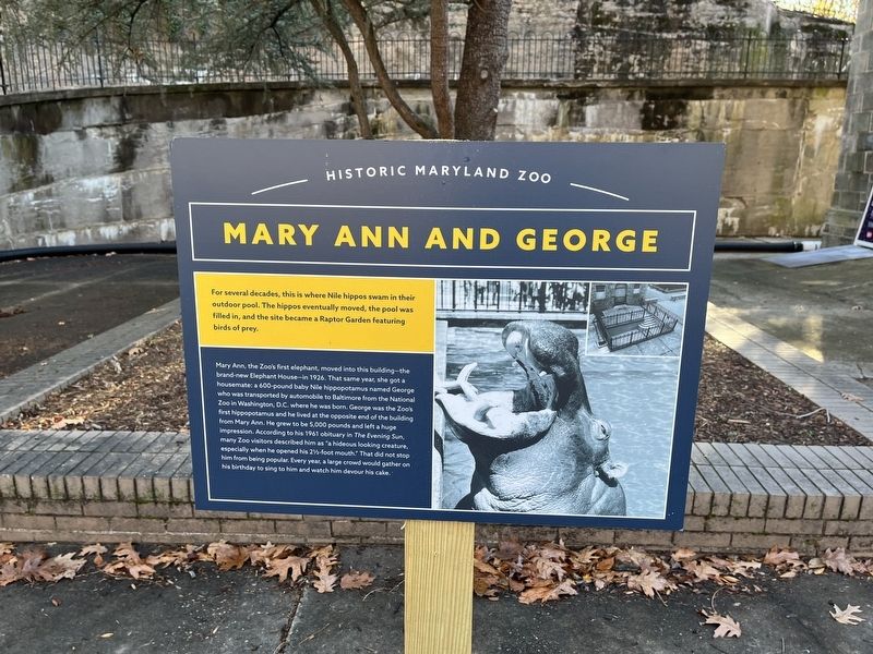 Mary Ann and George Marker image. Click for full size.