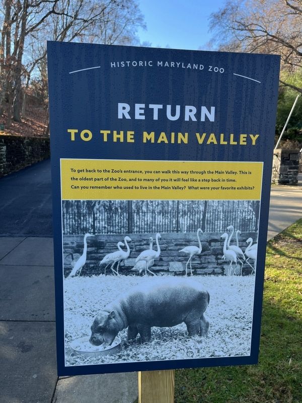 Return to the Main Valley Marker image. Click for full size.