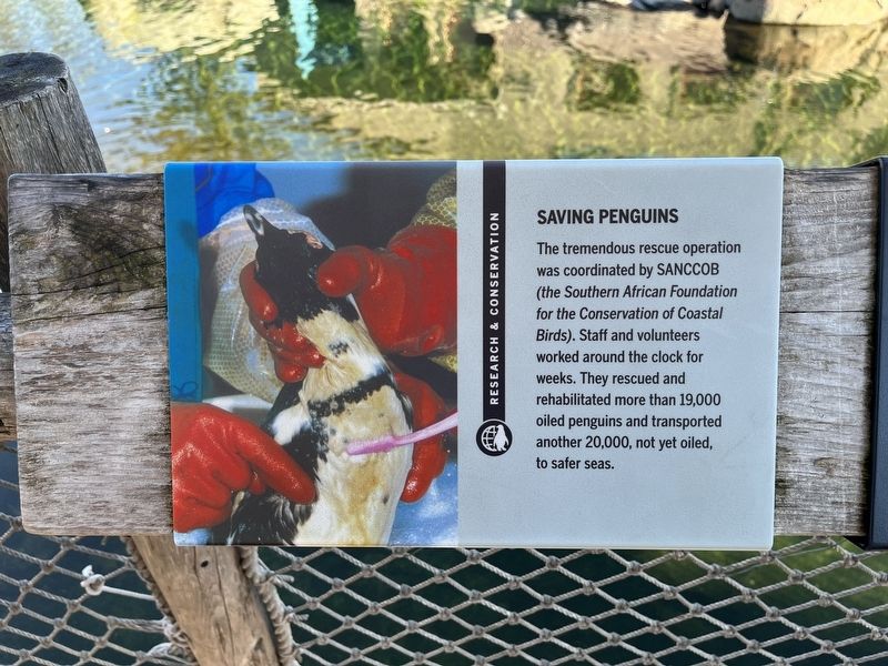 Saving Penguins Marker image. Click for full size.