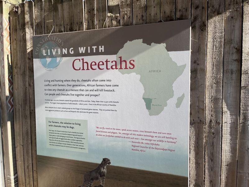 Living with Cheetahs Marker image. Click for full size.