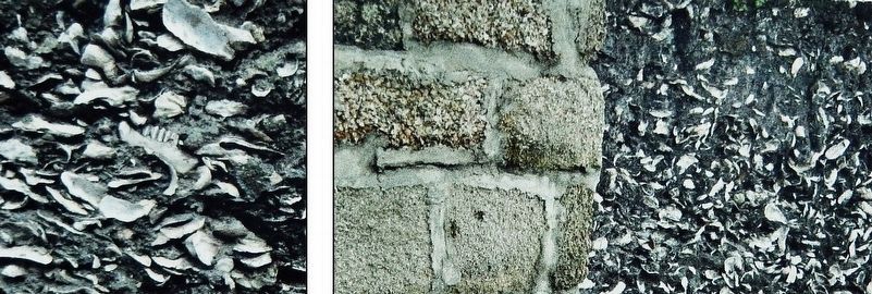 Marker detail: Tabby & Coquina image. Click for full size.