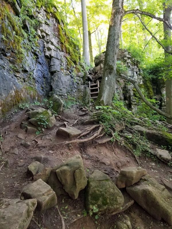 The Bruce Trail at Mount Nemo (Iroquoia Section) image. Click for full size.
