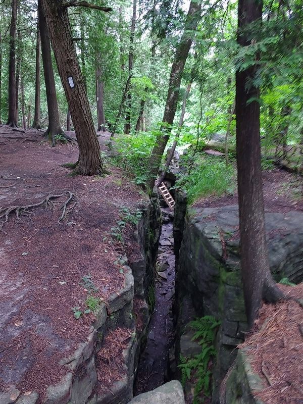 The Bruce Trail at Limehouse (Toronto Section) image. Click for full size.