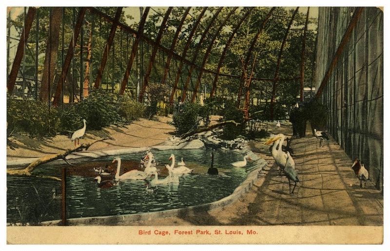<i>Bird Cage, Forest Park, St. Louis, Mo.</i> image. Click for full size.