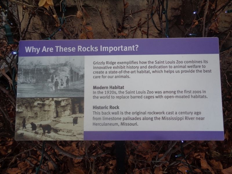 Why Are These Rocks Important? Marker image. Click for full size.