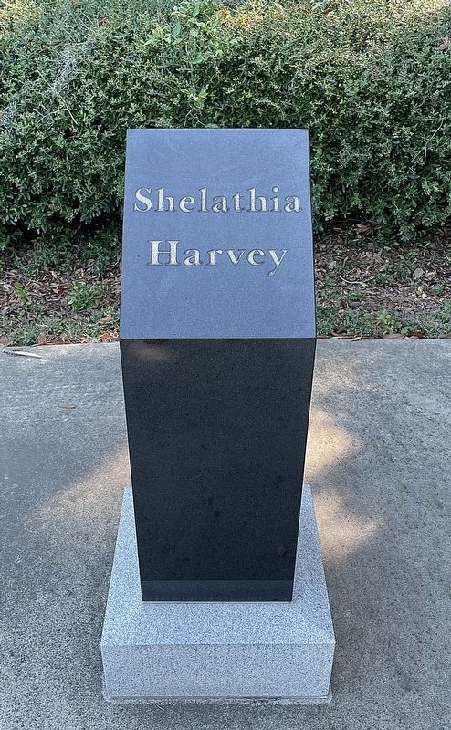 Shelathia Harvey Savannah Sugar Refinery Victim. Click for full size. Shelathia Harvey Savannah Sugar Refinery Victim image. Click for full size.