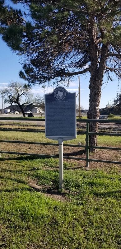 Knippa Trap Rock Plant Marker. Click for full size. Knippa Trap Rock Plant Marker image. Click for full size.