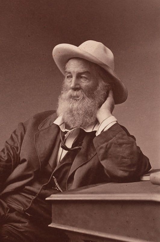 Walt Whitman - casting source image image. Click for full size.