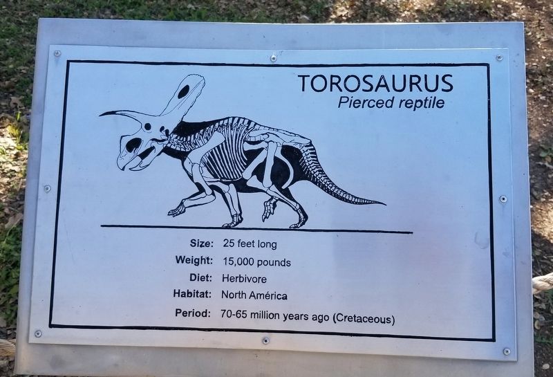 Torosaurus Marker image. Click for full size.