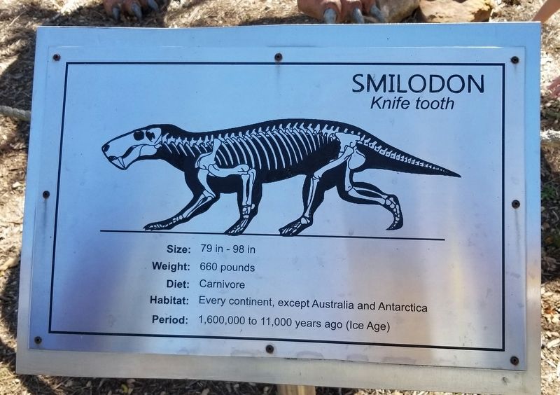 Smilodon Marker image. Click for full size.