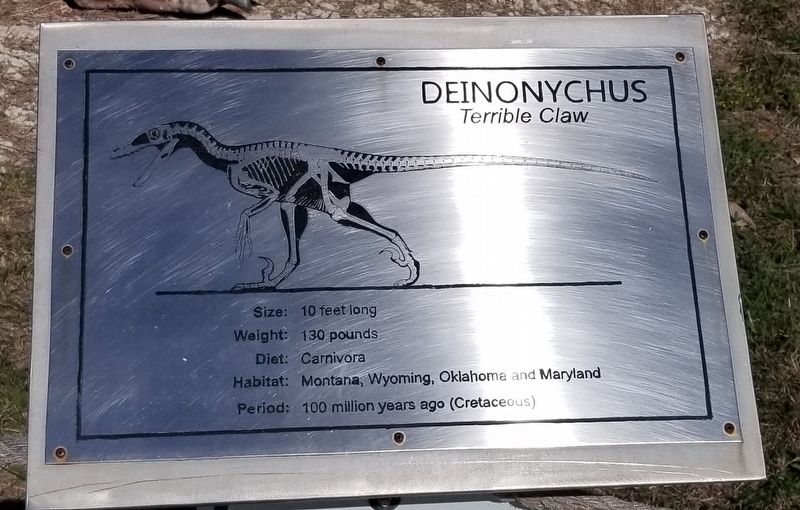 Deinonychus Marker image. Click for full size.