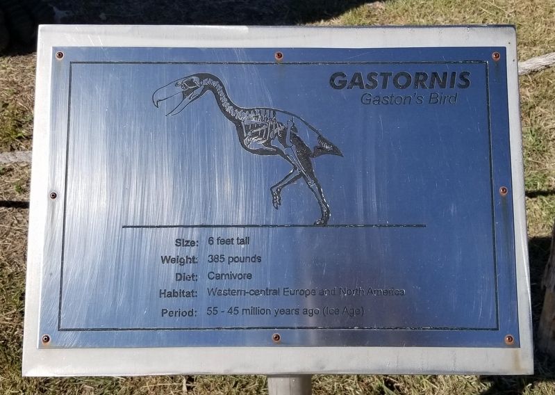 Gastornis Marker image. Click for full size.