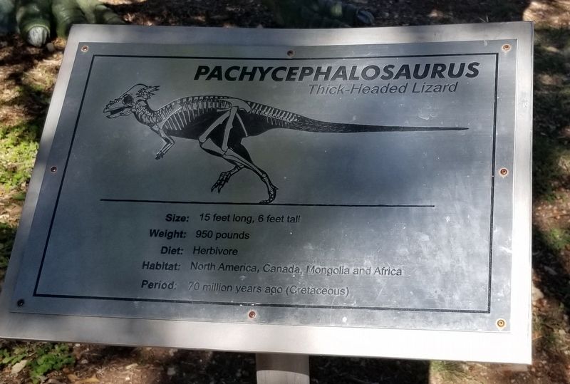 Pachycephalosaurus Marker image. Click for full size.