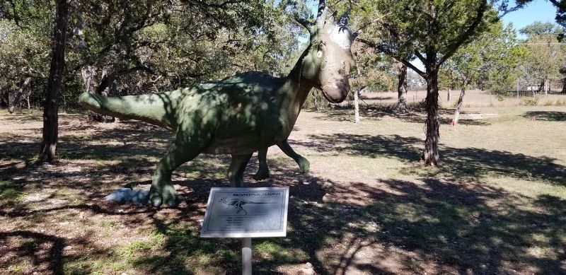 The view of the Pachycephalosaurus and Marker from the trail image. Click for full size.
