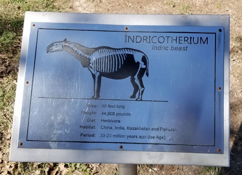 Indricotherium Marker image. Click for full size.