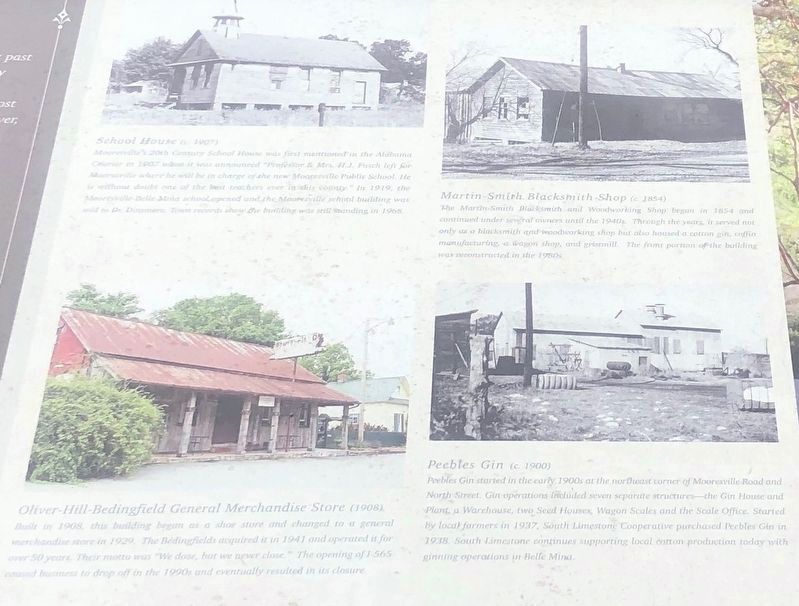 The School House, Oliver-Hill Bedingfield General Mechandise Store 1908 image. Click for full size.