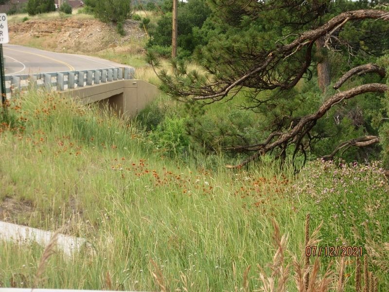 2019 Greenhorn Creek Bridge. Click for full size. 2019 Greenhorn Creek Bridge image. Click for full size.