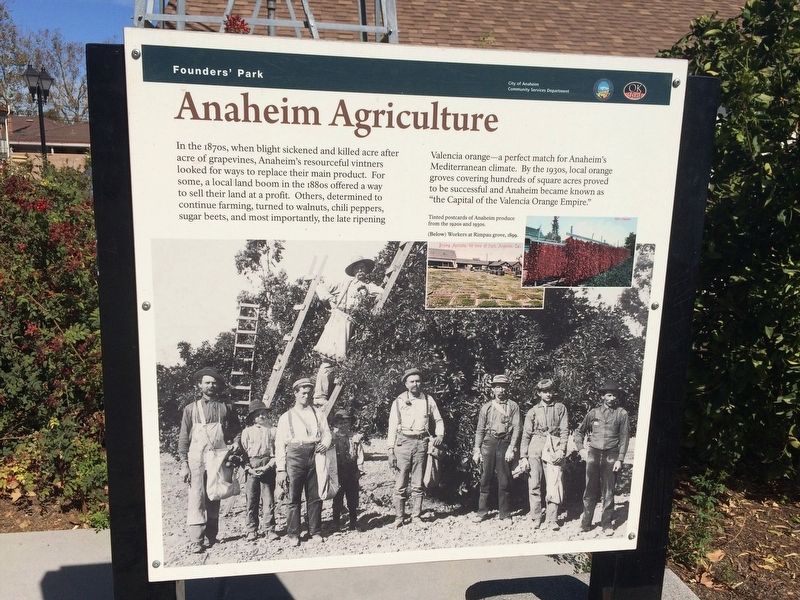 Wind and Water / Anaheim Agriculture Marker. Click for full size. Wind and Water / Anaheim Agriculture Marker image. Click for full size.