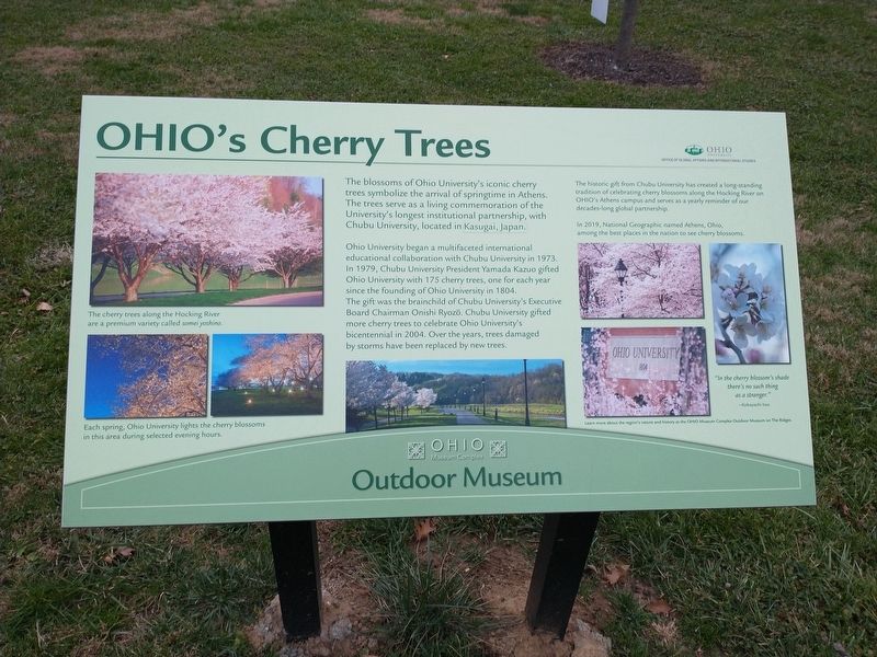 Ohio's Cherry Trees Marker image. Click for full size.